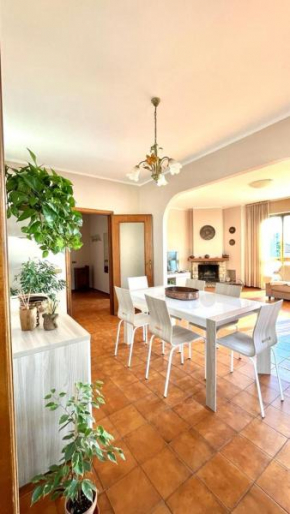 Beatrice Apartment Crocello